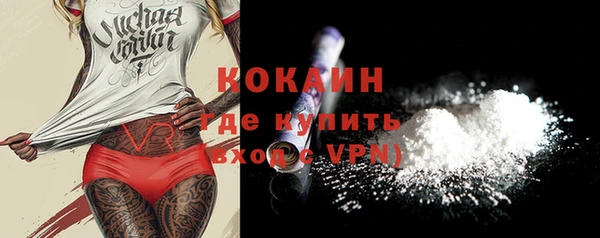 индика Абинск