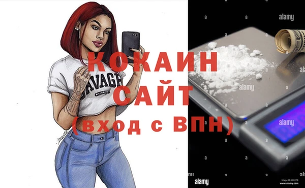 индика Абинск
