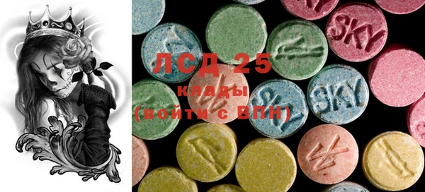 PSILOCYBIN Пересвет