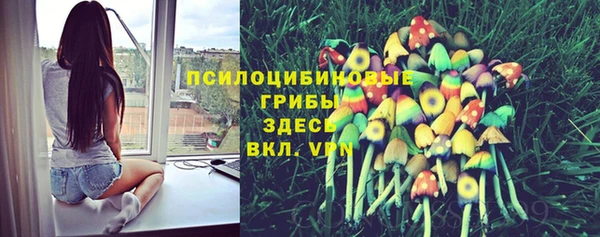 индика Абинск