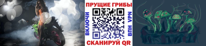 наркошоп  Новотроицк  Псилоцибиновые грибы ЛСД 