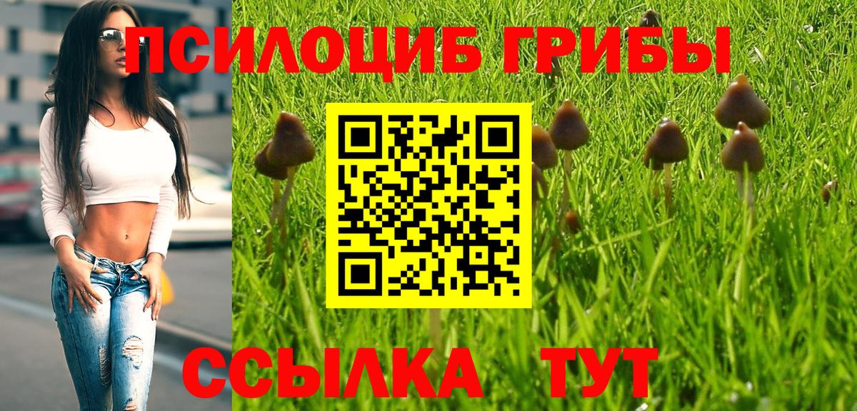 Новотроицк  Галлюциногенные грибы GOLDEN TEACHER  Вход с VPN 