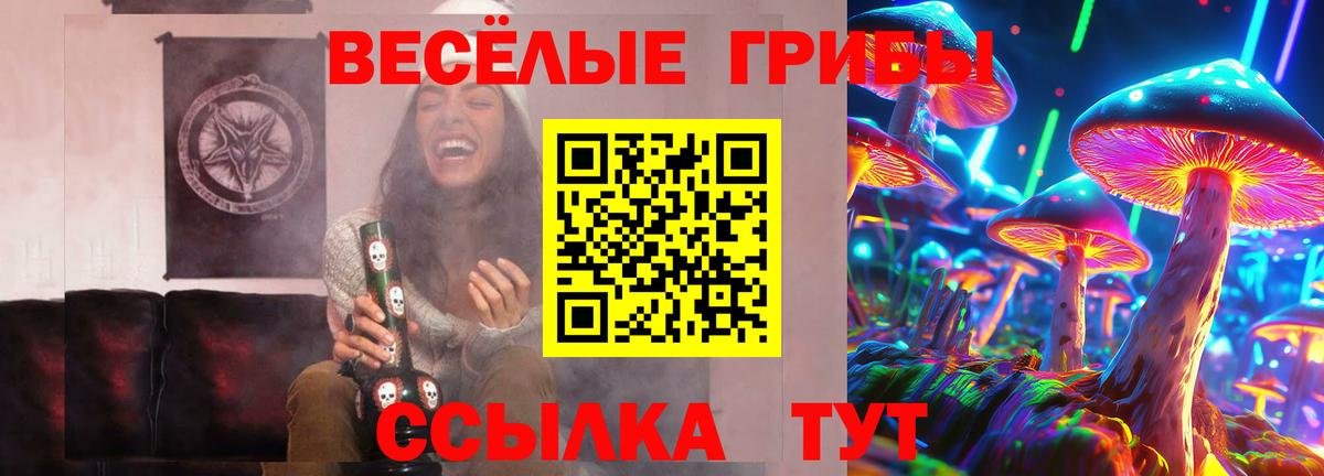 Галлюциногенные грибы мухоморы Новотроицк